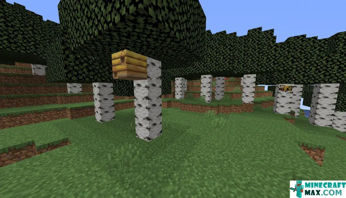 How to make Birch forest in Minecraft | Screenshot 3