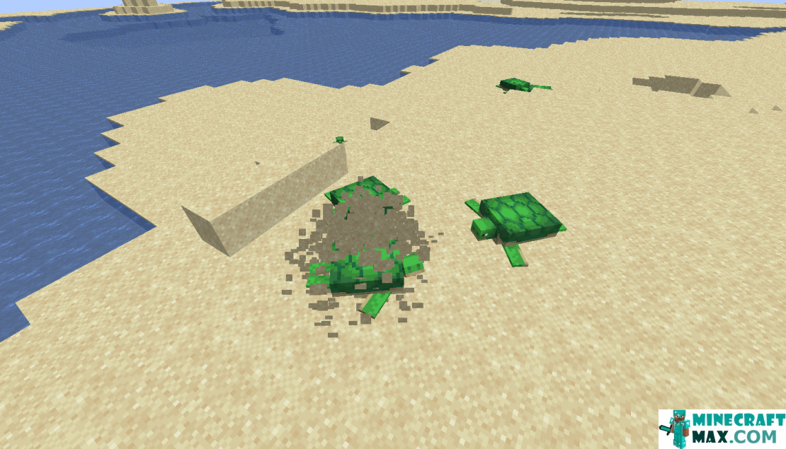 How to make Turtle in Minecraft | Screenshot 4