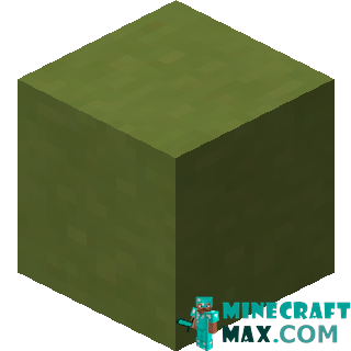 Lime ceramics in Minecraft