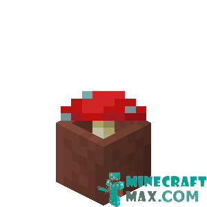 Red mushroom in a pot in Minecraft