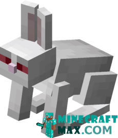 Rabbit killer in Minecraft