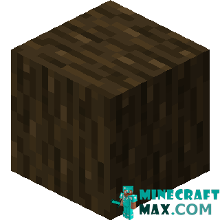 Dark oak in Minecraft