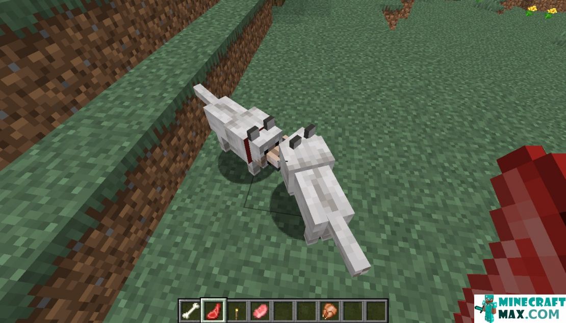 How to make Tamed wolf in Minecraft | Screenshot 2
