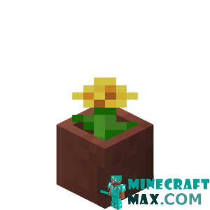 Dandelion in a pot in Minecraft