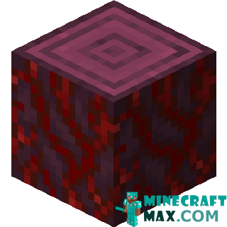 Crimson stem in Minecraft