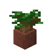 How to craft Dark oak seedling in a pot in Minecraft