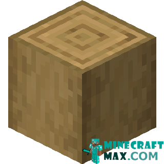 Hewn oak log in Minecraft