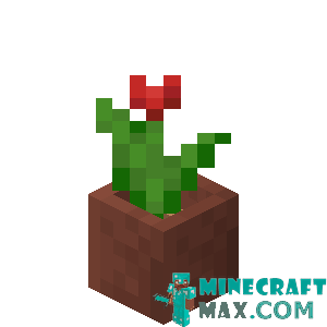 Red tulip in a pot in Minecraft