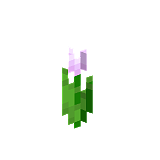 How to craft Pink tulip in Minecraft