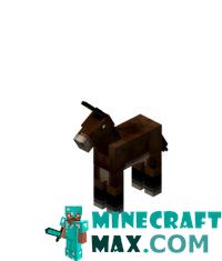 Little mule in Minecraft