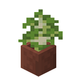 How to craft Birch sapling in a pot in Minecraft