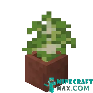 Birch sapling in a pot in Minecraft