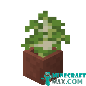 Birch sapling in a pot in Minecraft