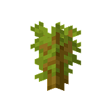 How to craft Acacia seedling in Minecraft