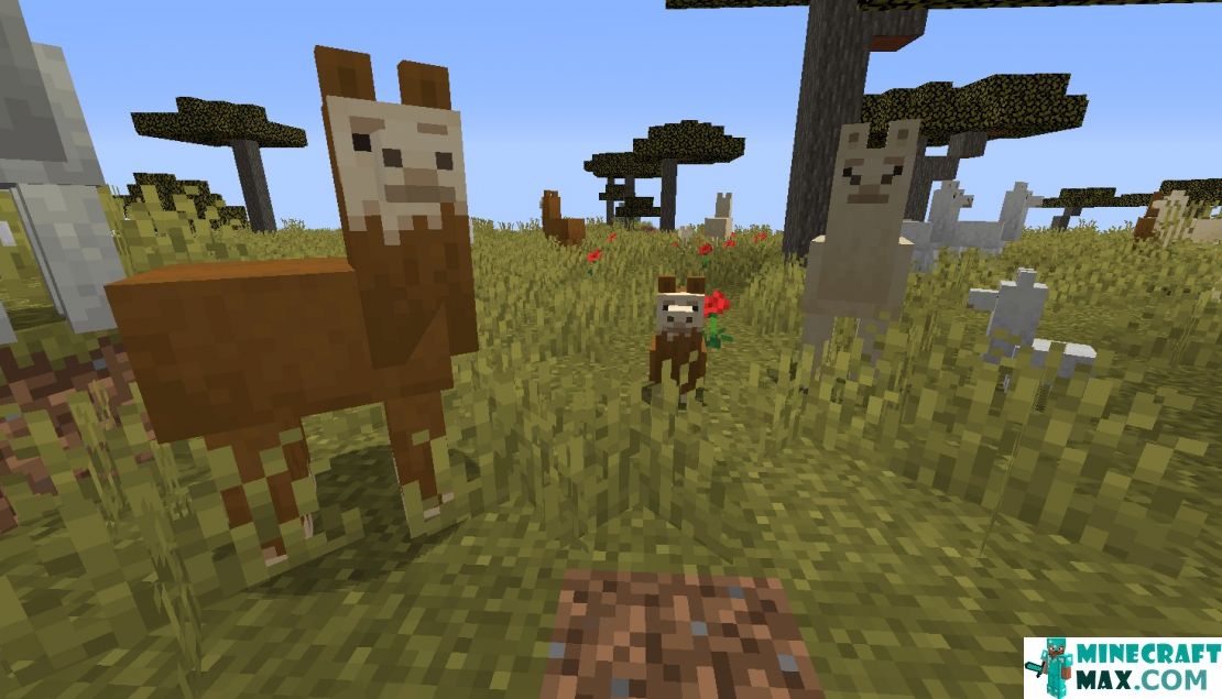 How to make Llama in Minecraft | Screenshot 1