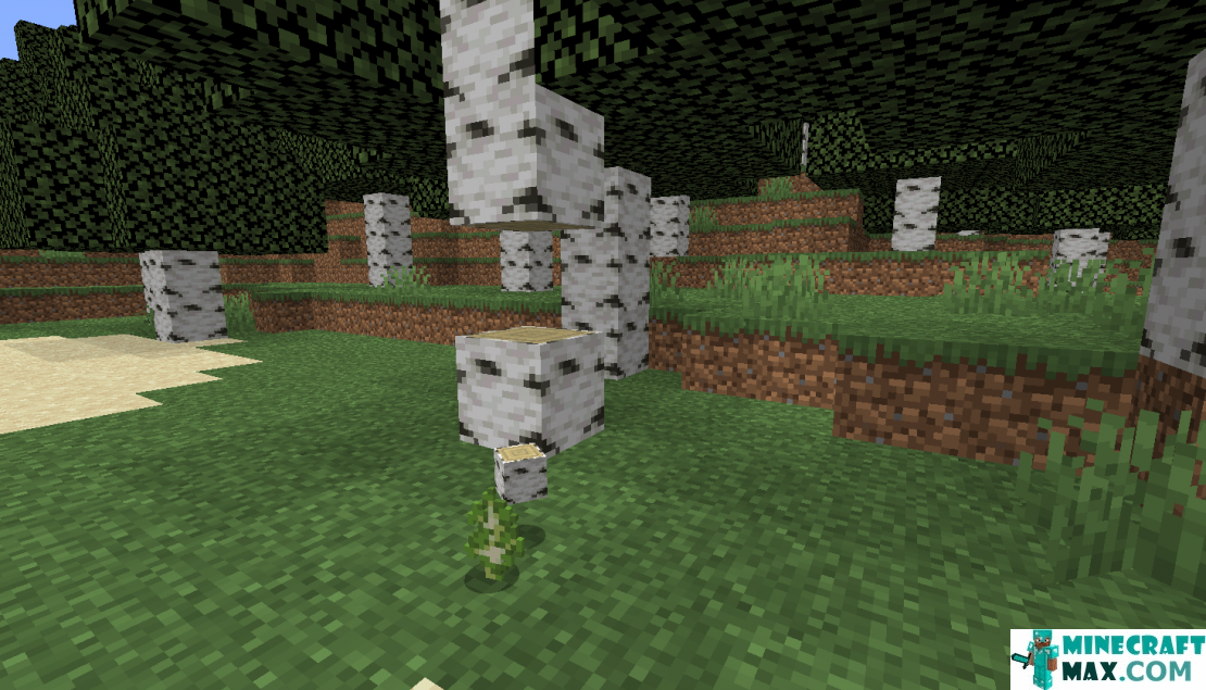 How to make Birch sapling in Minecraft | Screenshot 1