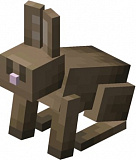 How to craft Rabbit in Minecraft
