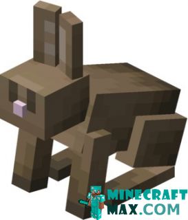 Rabbit in Minecraft