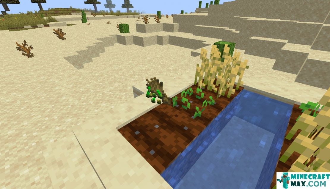 How to make Wheat in the garden in Minecraft | Screenshot 1