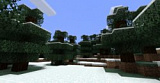How to craft Snowy taiga in Minecraft