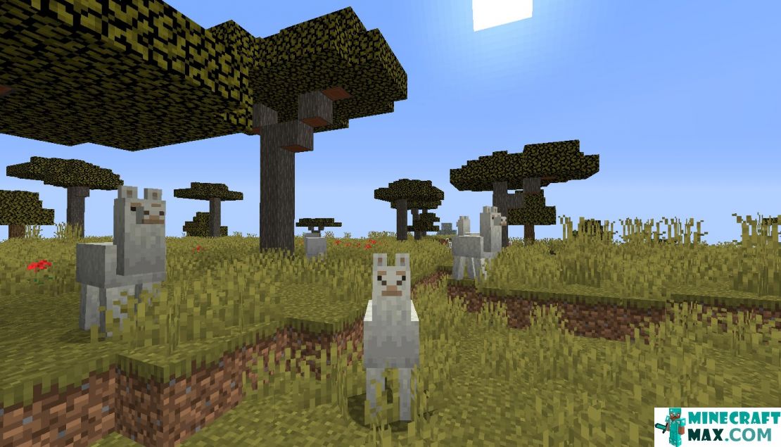 How to make Llama in Minecraft | Screenshot 2