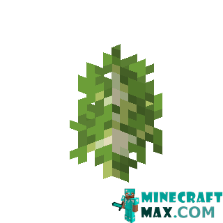 Birch sapling in Minecraft