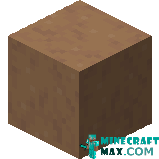 Brown mushroom block in Minecraft