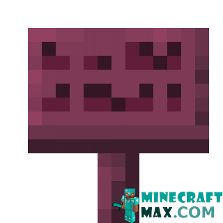 Crimson tablet in Minecraft