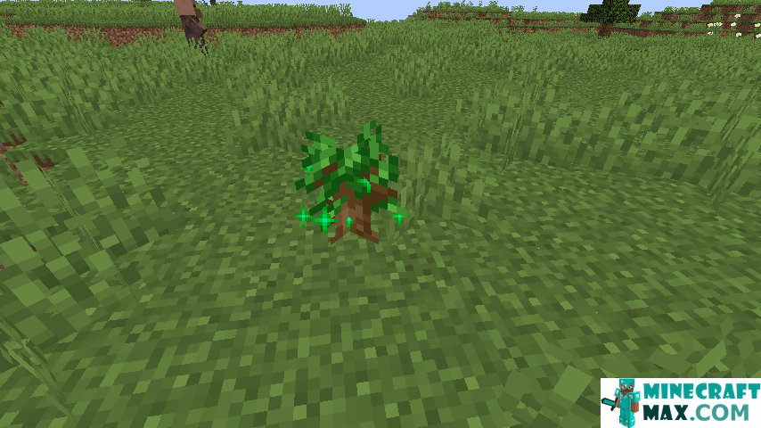 How to make Dark oak sapling in Minecraft | Screenshot 2