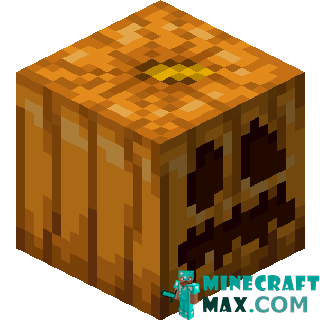 Carved pumpkin in Minecraft