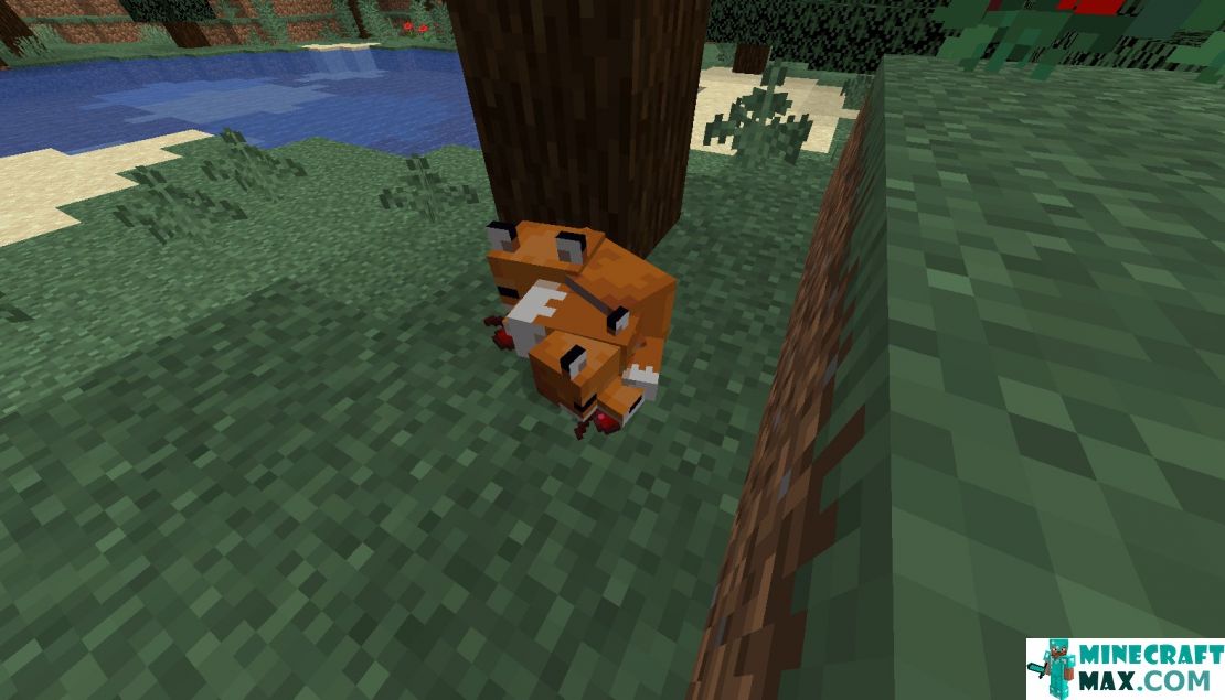 How to make Fox in Minecraft | Screenshot 2