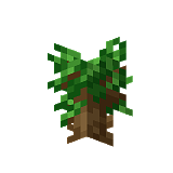 How to craft Dark oak sapling in Minecraft