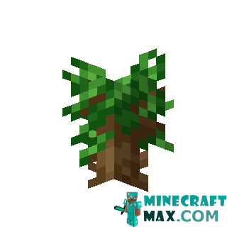 Dark oak sapling in Minecraft