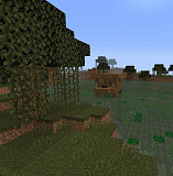 How to craft Swamp in Minecraft