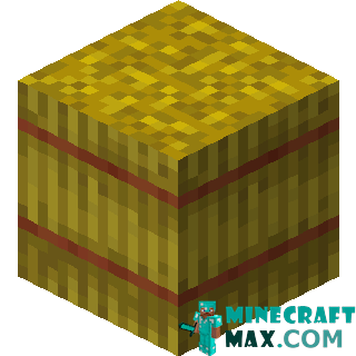 Sheaf of hay in Minecraft