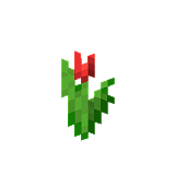How to craft Red tulip in Minecraft