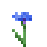 How to craft Blue cornflower in Minecraft