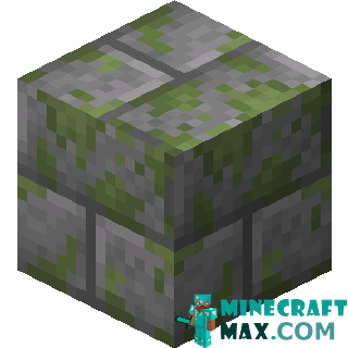 Mossy stone bricks in Minecraft