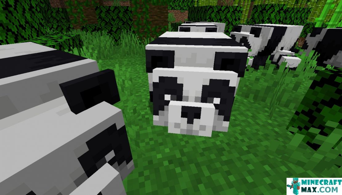 How to make Panda in Minecraft | Screenshot 4
