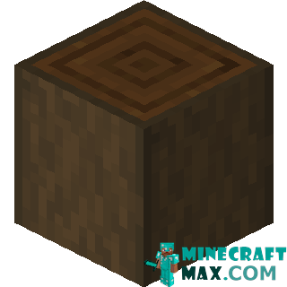 Hewn dark oak log in Minecraft