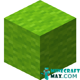 Lime wool in Minecraft