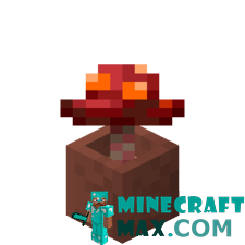 Crimson mushroom in a pot in Minecraft