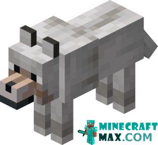 Wild wolf in Minecraft