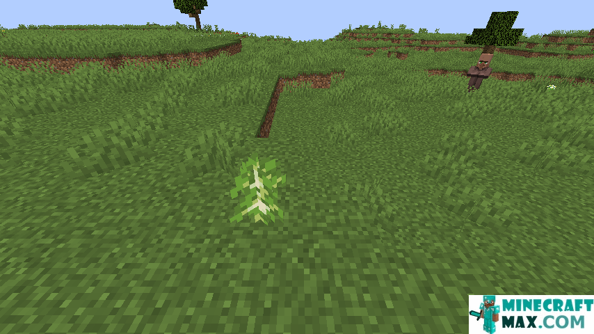 How to make Birch sapling in Minecraft | Screenshot 2