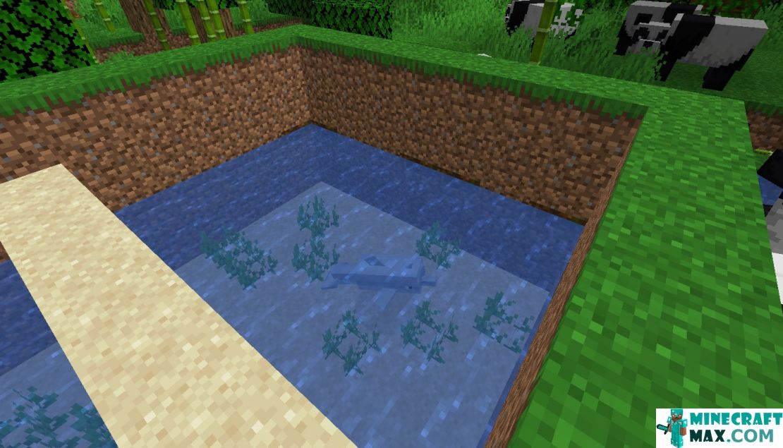 How to make Dolphin Summon Egg in Minecraft | Screenshot 2
