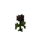 How to craft Rose Wither in Minecraft