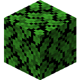 How to craft Dark oak leaves in Minecraft